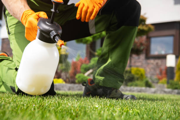 Best Pest Removal Services  in Riverside, AL