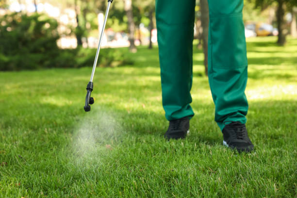 Best Local Pest Control Services  in Riverside, AL