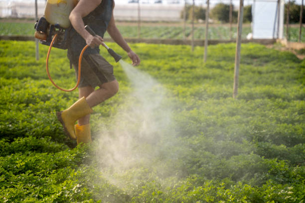 Best Ant Control Services  in Riverside, AL