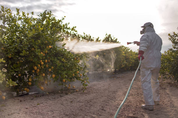 Best Pest Control for Restaurants  in Riverside, AL