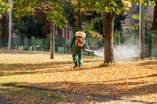 Pest Control Cost in Riverside, AL