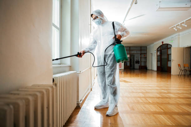 Flea Control Services in Riverside, AL