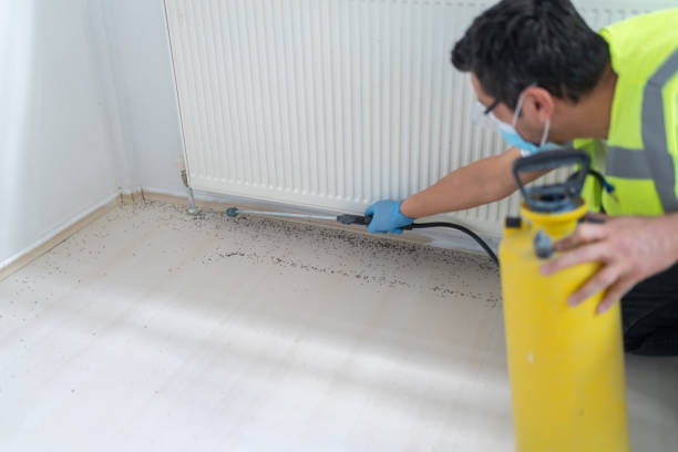 Best Exterminator Services  in Riverside, AL